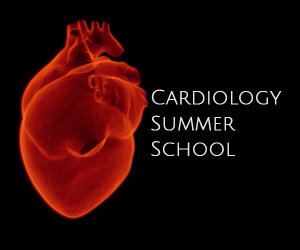 2017 cardiology summer school image